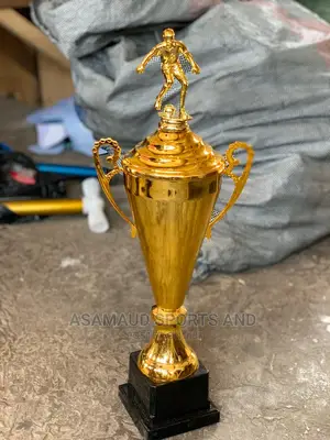 Original Trophy At Cool Price