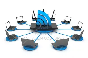 LAN Office and Business Networking