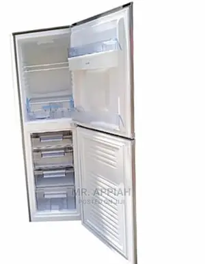 High Efficient Pearl 273L Double Door Fridge(PF-384 IXWD).