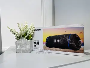 Sony SRS-Xb33 Bluetooth Speaker  for Cool  Pretty Price