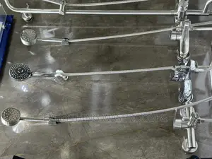 Antirust 2in1 Telephone Shower_telephone Shower Stainless