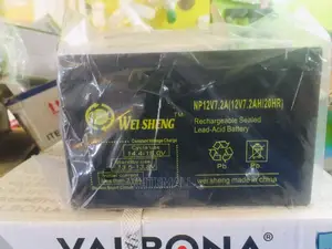 Wei Sheng 12v-7.5ahs Battery