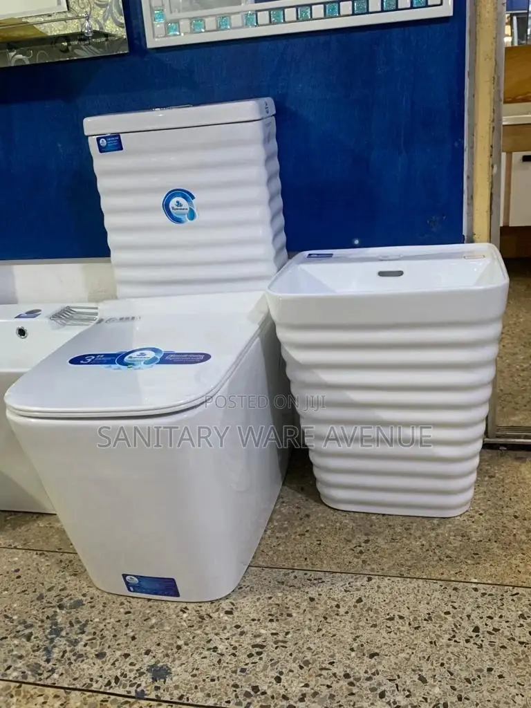 Luxury Toilet Set - Complete Water Closet + Wall Hung Basin