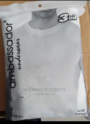 Affordable 3 in 1 Men's Inner Shirts