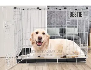 30 Inches Metallic Indoor Dog Cages and Accessories