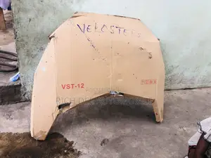 Veloster Bonnet