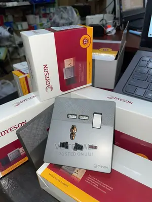 Dyeson Single Socket With USB Gray(R2.5)