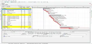 Primavera P6 Professional 2022 Software