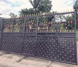 Black Gate/ Main Gate /Entrance Gate