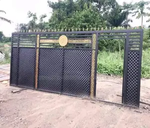Main Entrance Gate/Metal Gate/Black Gate