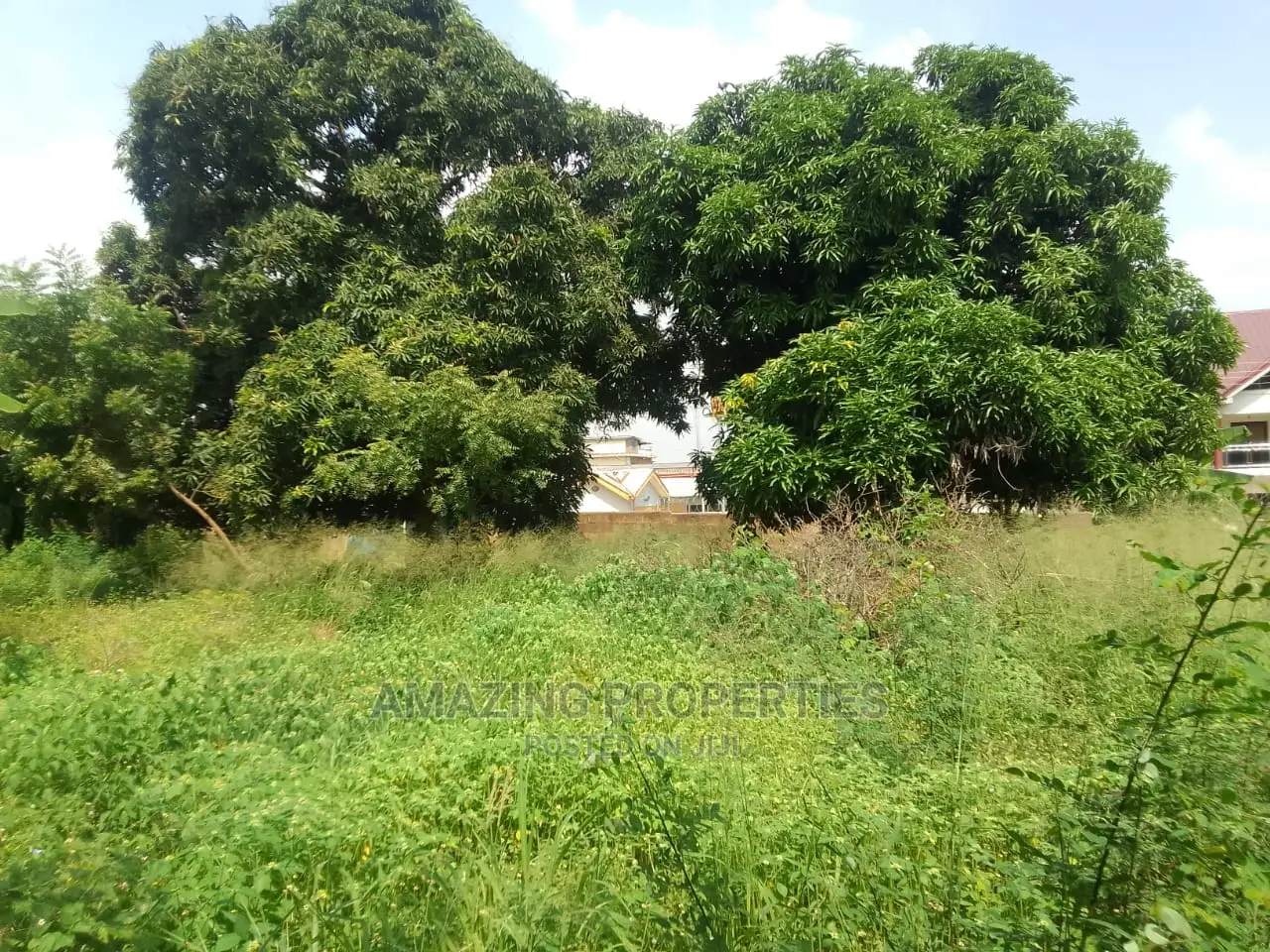 6.33 Acres Of Roadside Land Available For Sale At Cantonment