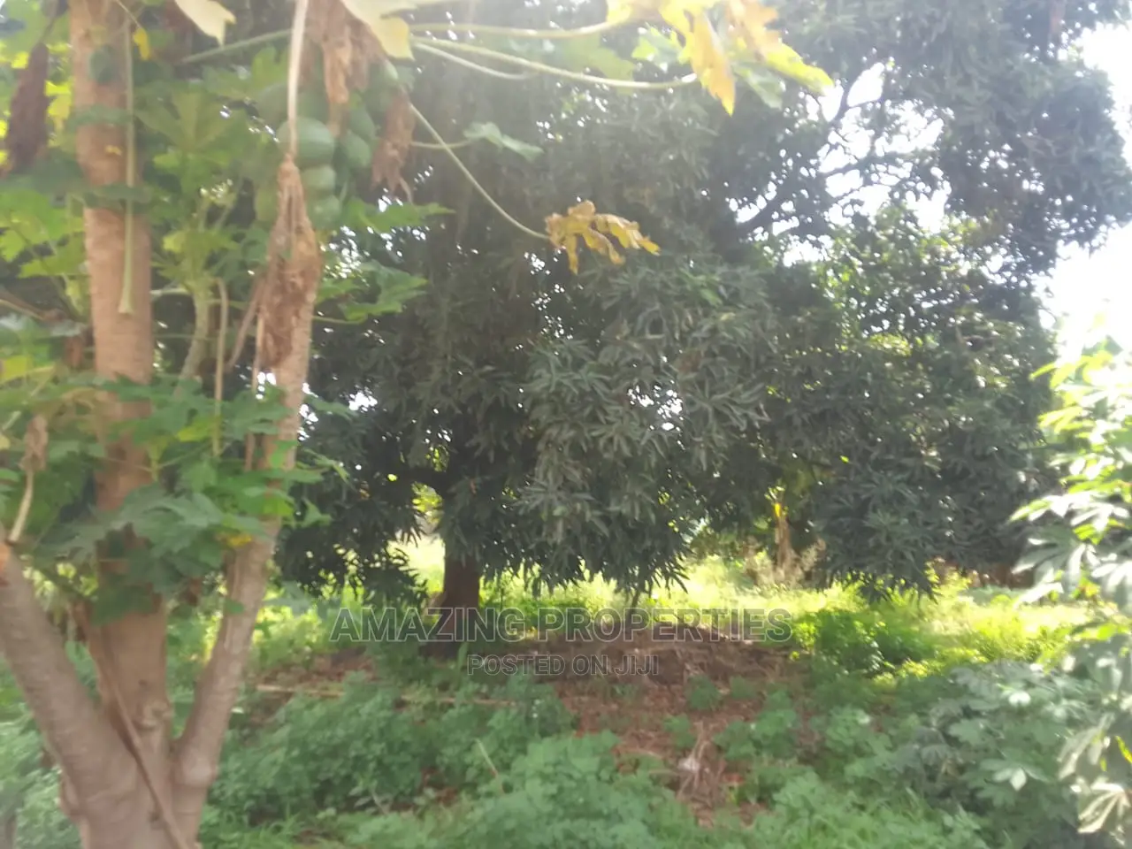 6.33 Acres Of Roadside Land Available For Sale At Cantonment