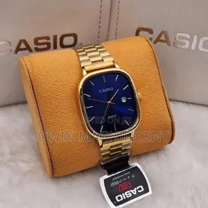 Stainless Casio Analog