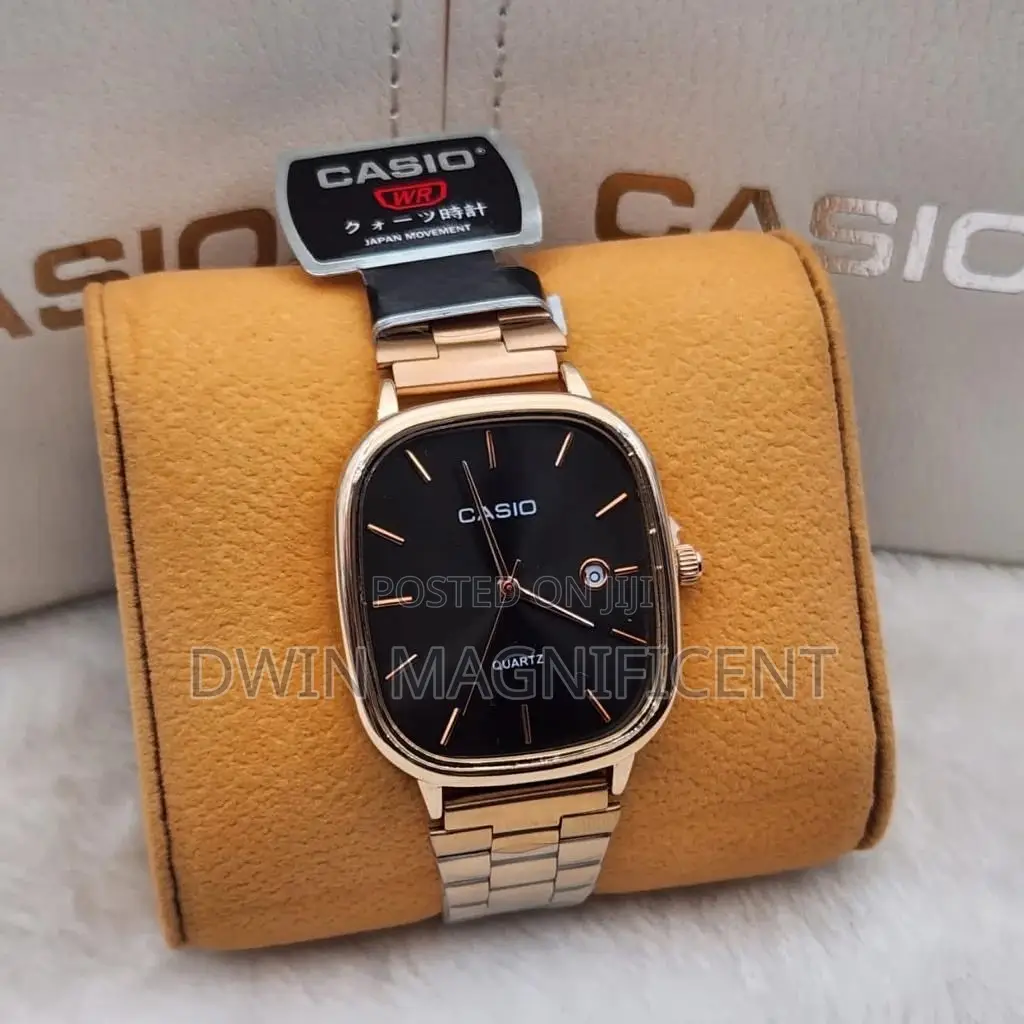 Stainless Casio Analog