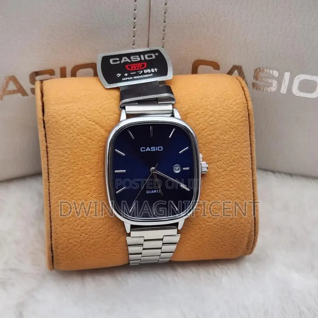 Stainless Casio Analog