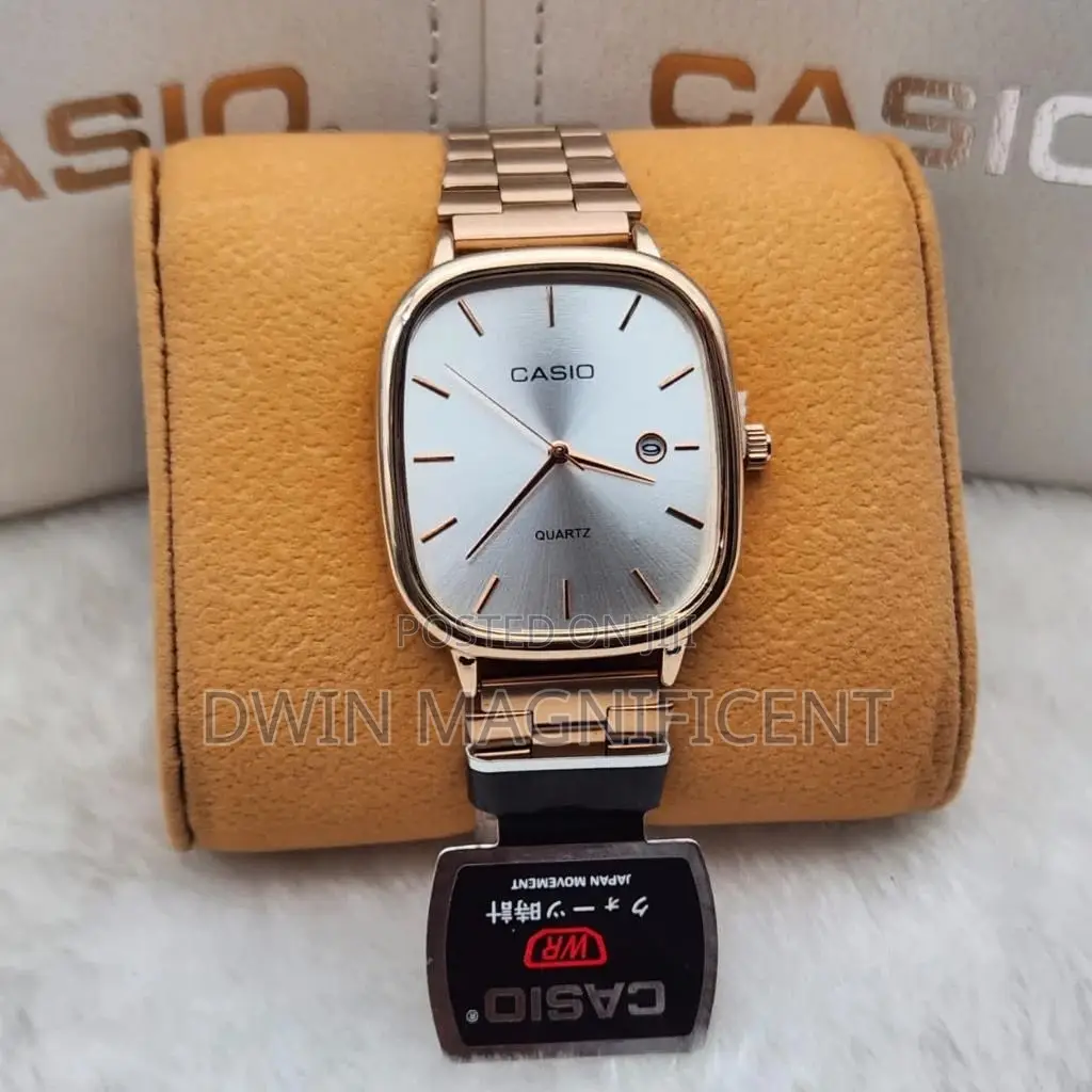 Stainless Casio Analog