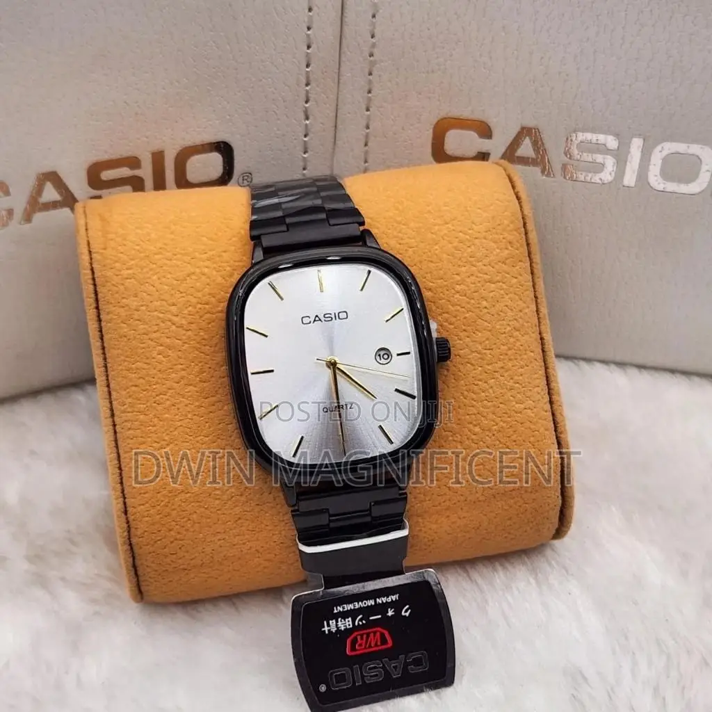 Stainless Casio Analog