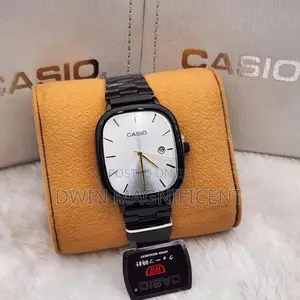 Stainless Casio Analog