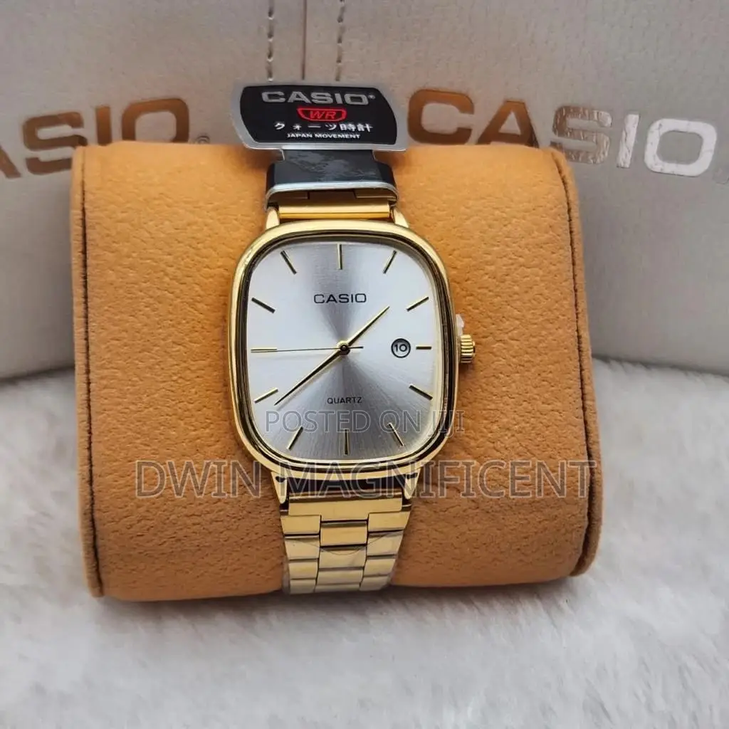 Stainless Casio Analog