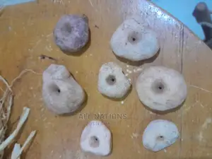 Natural Thunder Stones