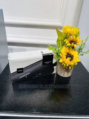 Best Buy for Less Bose Sound Link Flex  Bluetooth Speaker