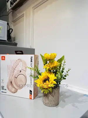 Best Buy for Less JBL Tune 760 Headphones 