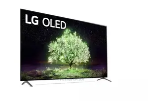 Best Buy for Less 55”OLED OLED55A1PVA 