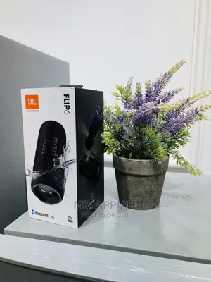 Sealed in Box  JBL Flip 6 Bluetooth Speaker(Gray) 