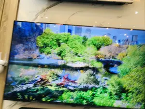 Brand New Oled 65 Inches Glossy A1PVA  Lg Tv