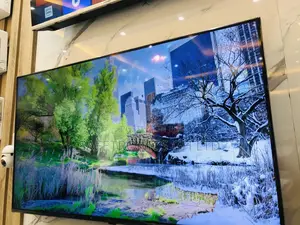 Adjustable C21LA 65 Inches Glossy Oled  Lg Tv