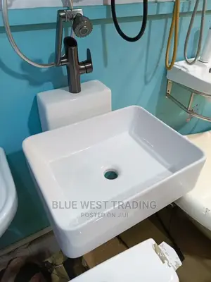 Wall Hung Basin - Vanity Basin