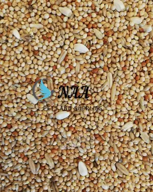 Bird Feed/ Budgie Feed