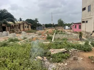 Roadside Plot of Land for Sale at Botwe Littel Rosse
