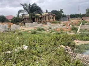 Roadside Plot of Land for Sale at Botwe Littel Rosse