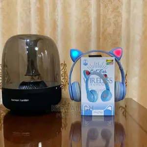 Cat Ear Wireless Headphones