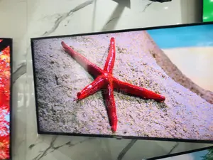 A1PVA 55 Inches Glossy Oled  LG Smart Tv