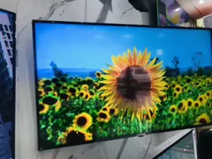 Essential Modern Samsung 55 Inches Glossy QLED UHD Q60B C
