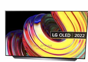 Quality Yet Affordable LG 55 Inch OLED Tv(OLED55CS6LA) 