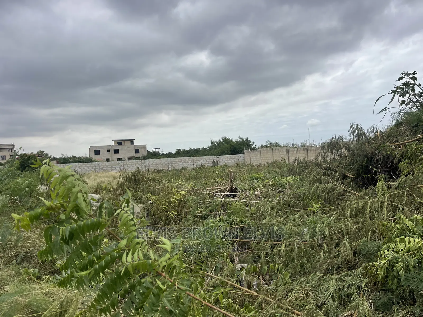 Buy a Plot of Land or Swap Your Car With the Land