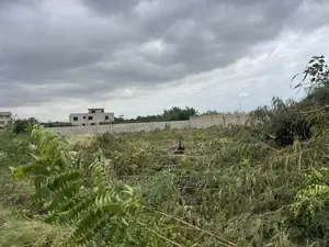 Buy a Plot of Land or Swap Your Car With the Land