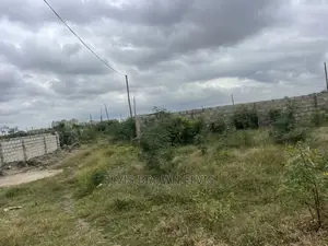 Don’T Go and Buy a Problem Land Before You Get Back to Me