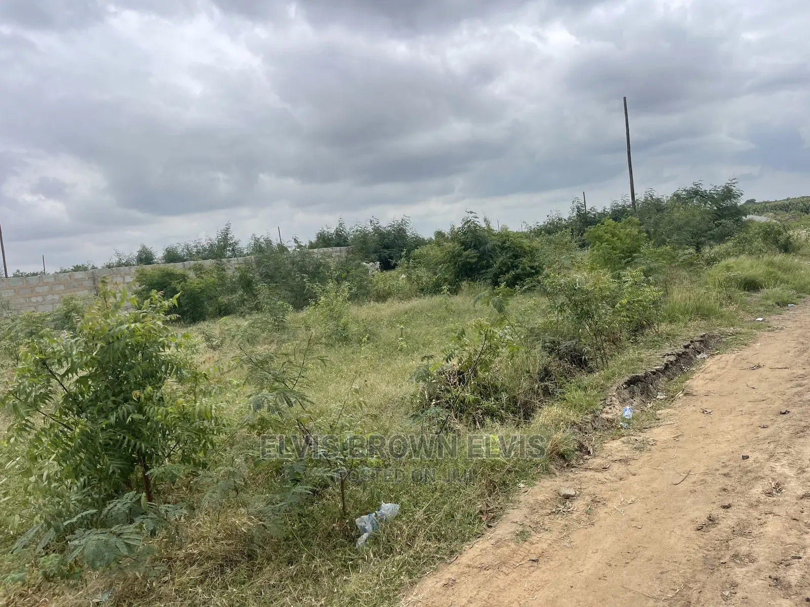 Don’T Go and Buy a Problem Land Before You Get Back to Me