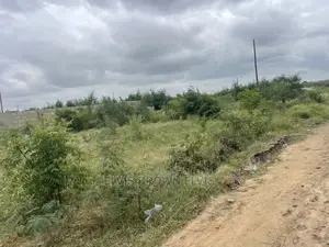 Don’T Go and Buy a Problem Land Before You Get Back to Me