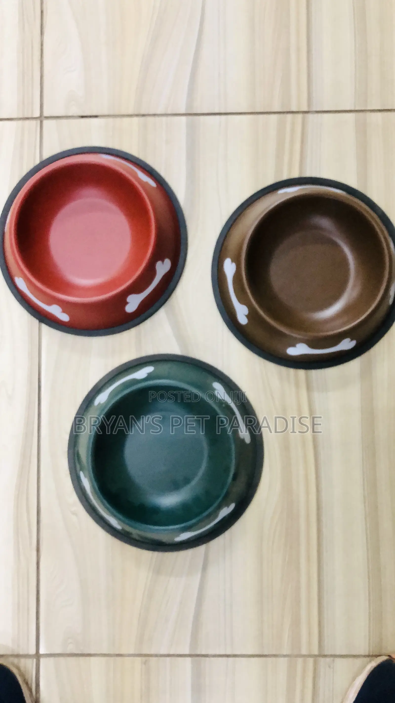 Medium Size Pet Bowls