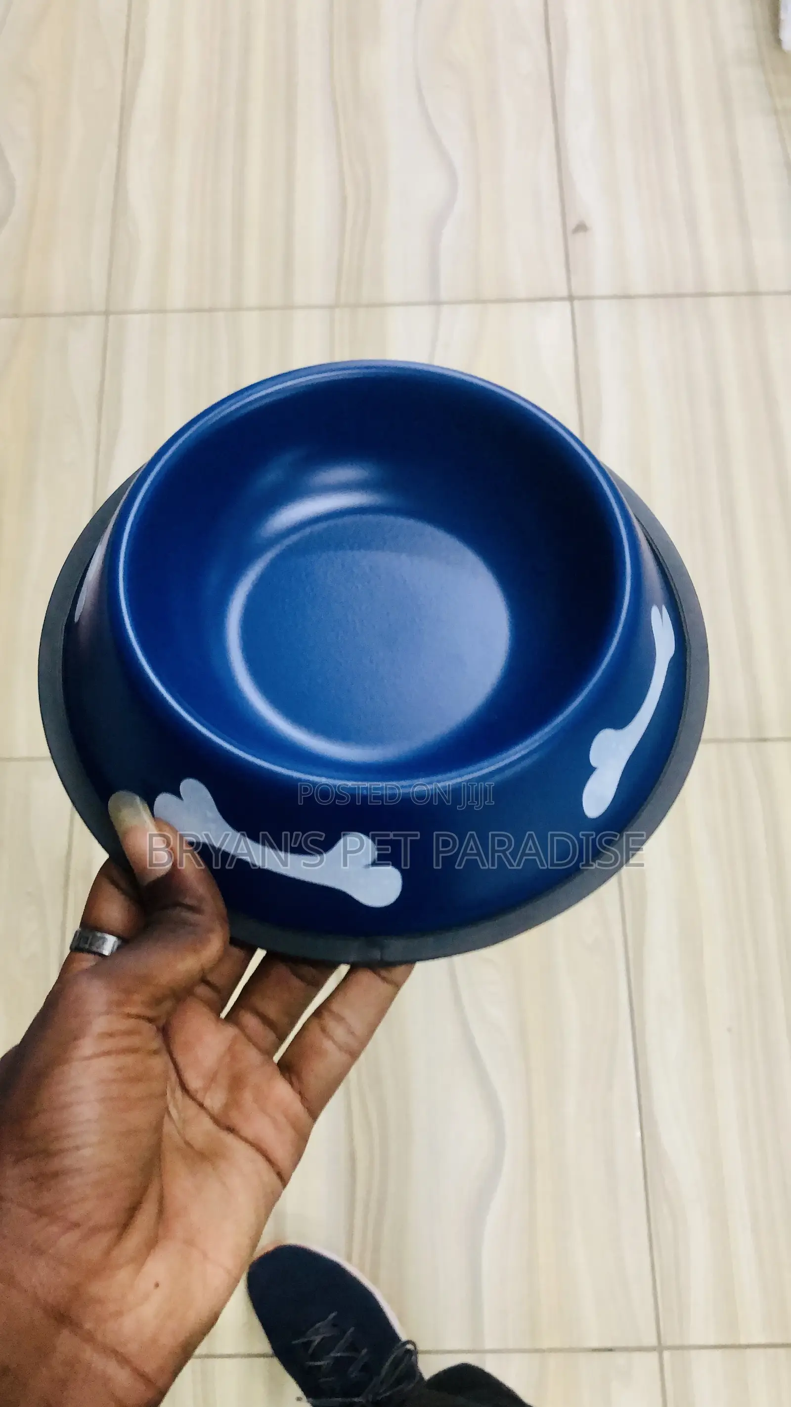 Medium Size Pet Bowls