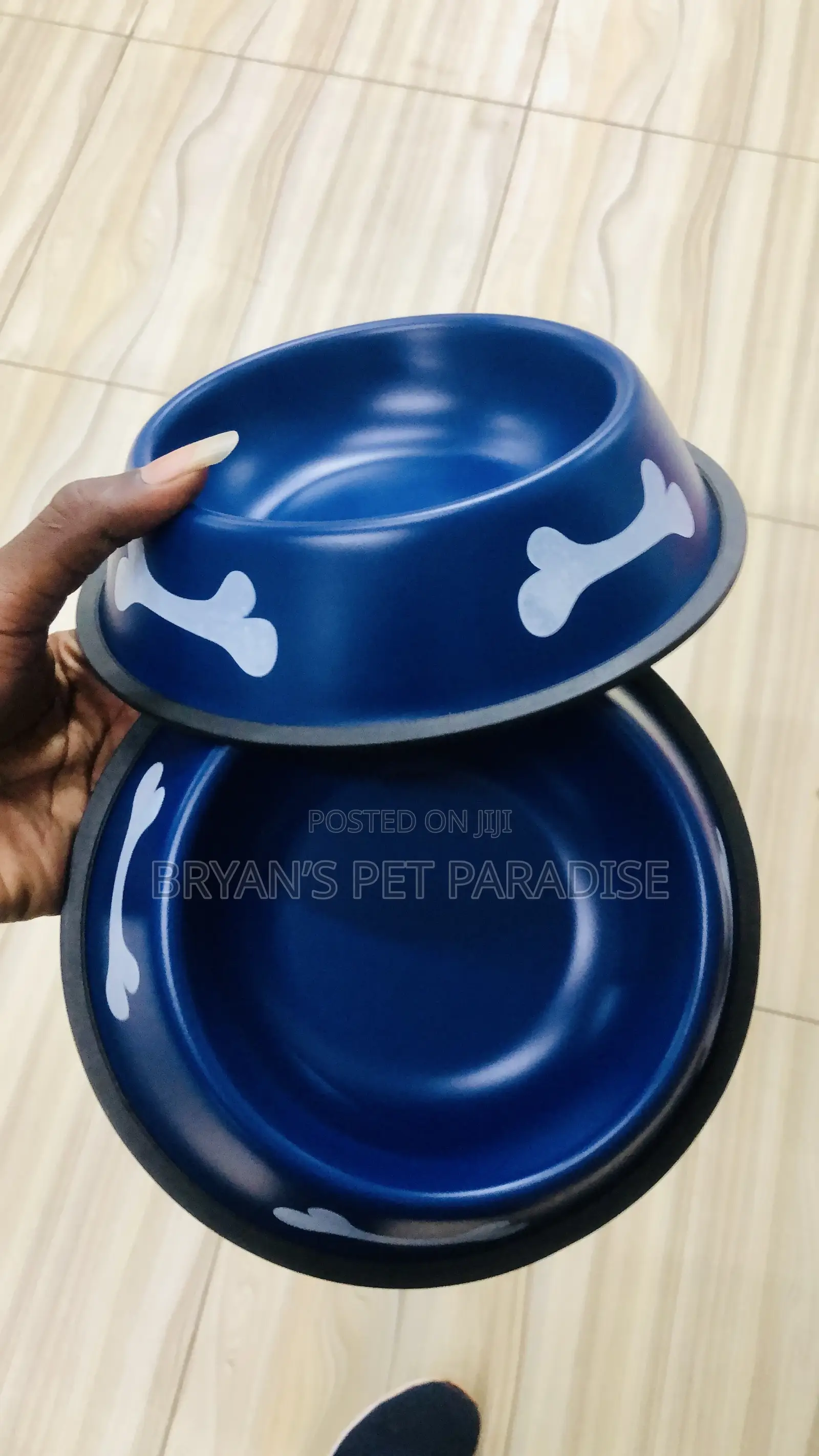 Medium Size Pet Bowls
