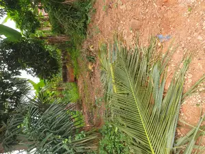 Plot for Sale at Santasi Ahema Kokoben Near Main Road