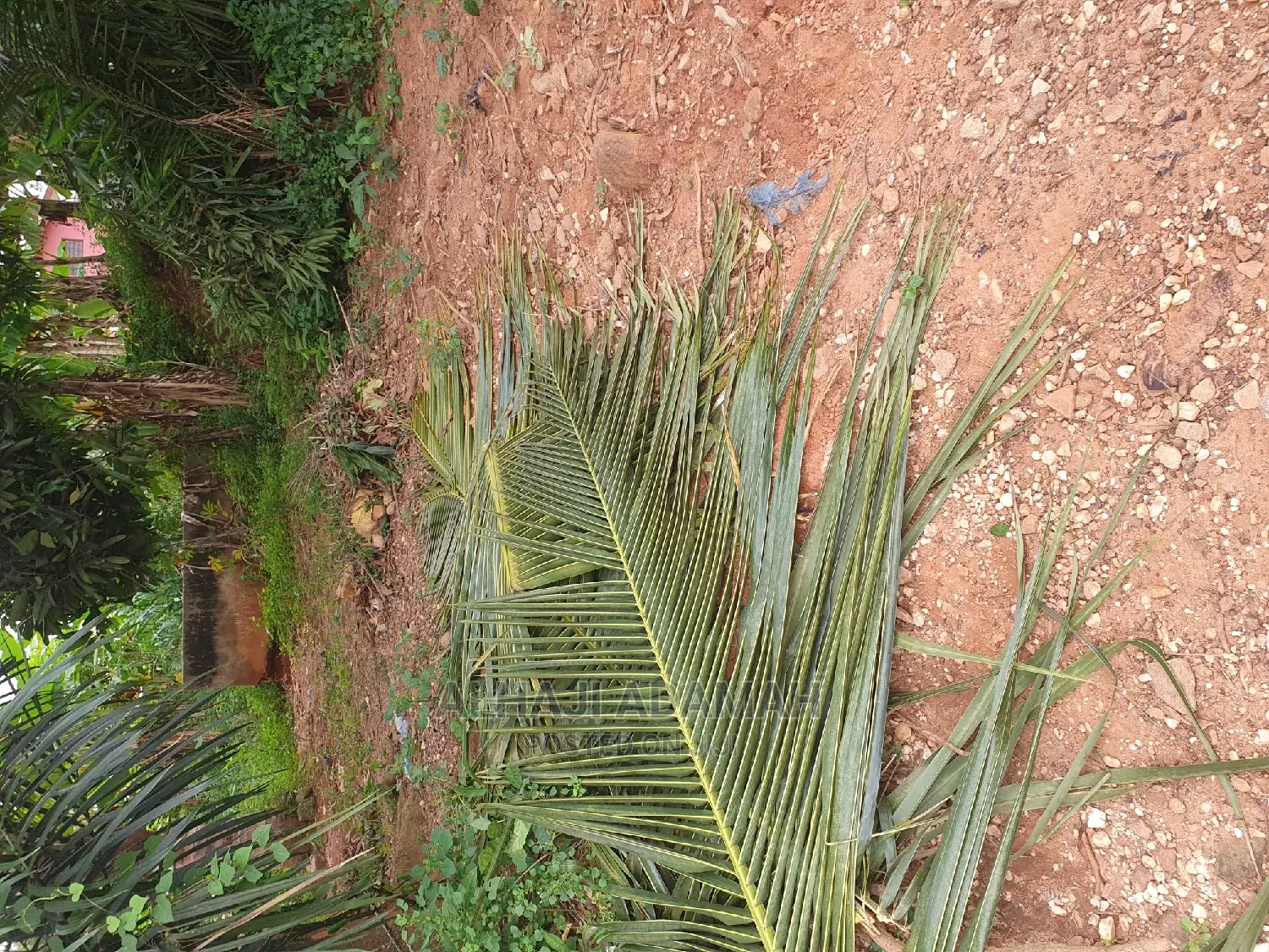 Plot for Sale at Santasi Ahema Kokoben Near Main Road