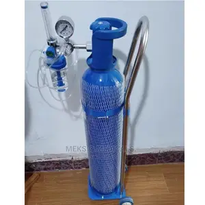 Oxygen Cylinder With Trolley and Flowmeter 10 LTRS