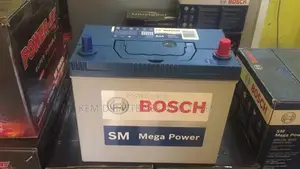 13 Plates Bosch Battery Slim Type - NS60